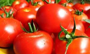 Лучшие сорта томатов для волгоградской области