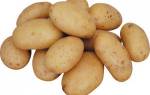Сорт картофеля сантана