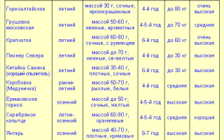 Сорта яблонь для архангельской области