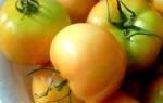 Бурые помидоры на зиму без стерилизации