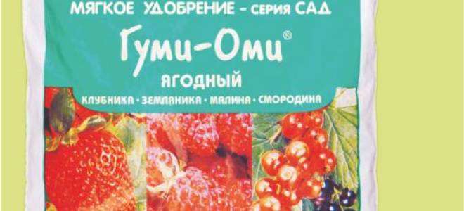 Гумат калия для клубники